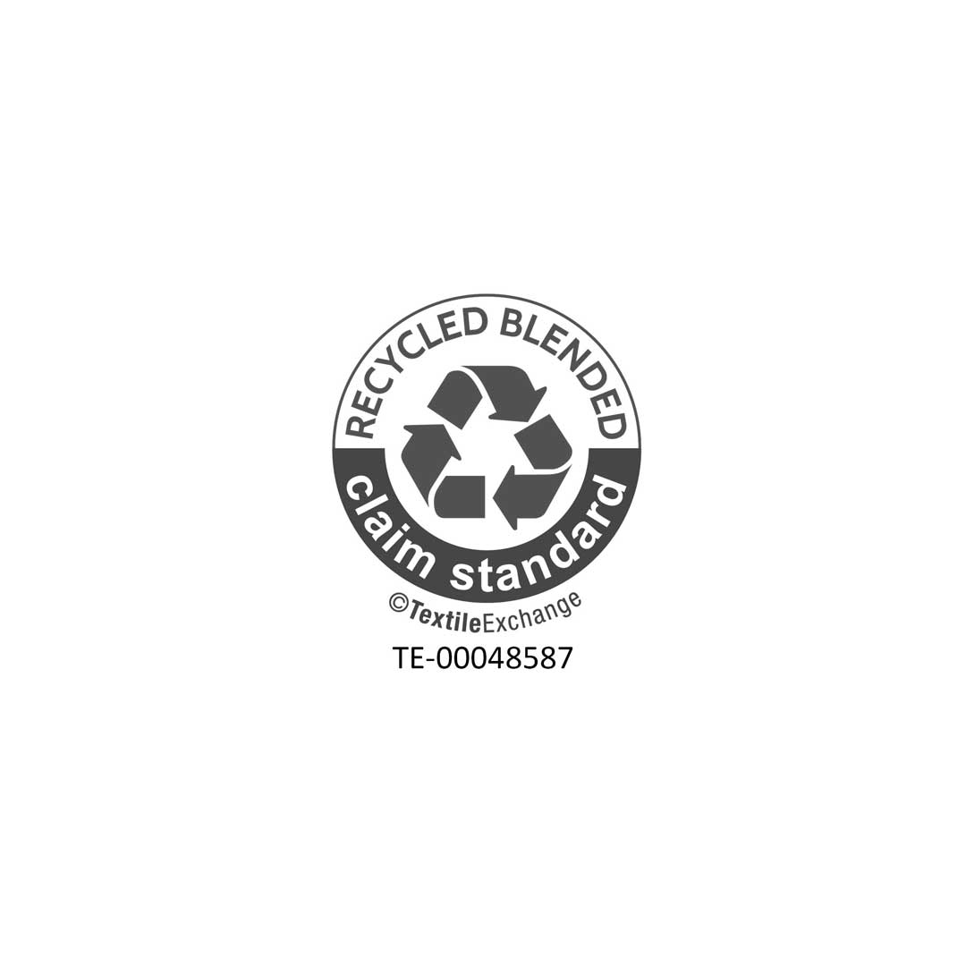 Logo-RCS-100-2026-bw