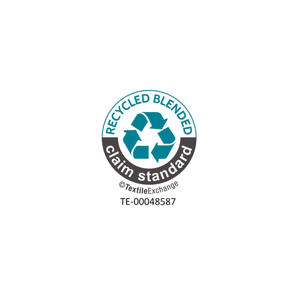 Logo-RCS-100-2026